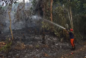 Suasana pemadaman Karhutla di Kelurahan Loa Ipuh (Istimewa)