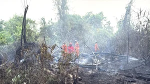 Penanganan Karhutla oleh KPHP Meratus (Urbankaltim